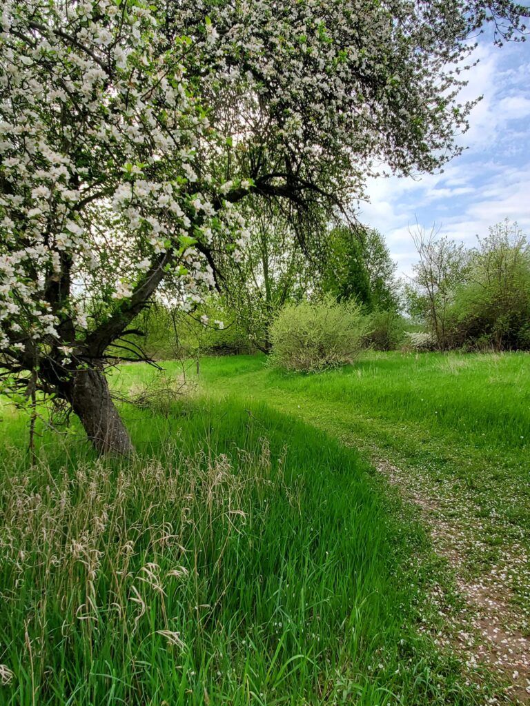 River Bend Natural Area in Spring