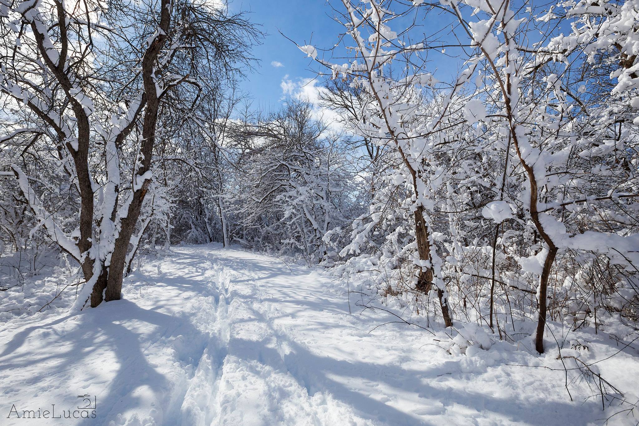 The 3 Layers of Winter