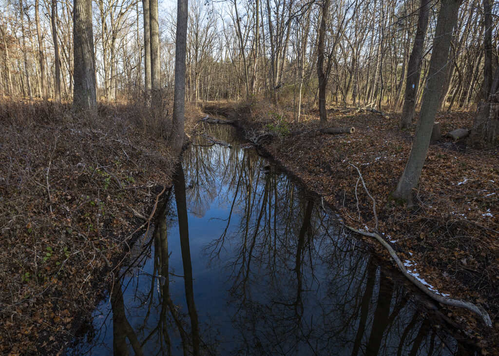 Portage Creek