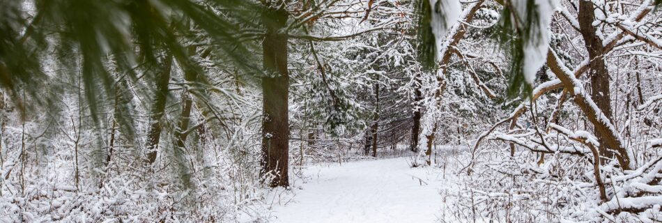 Snow covered trail at Woldumar Nature Center