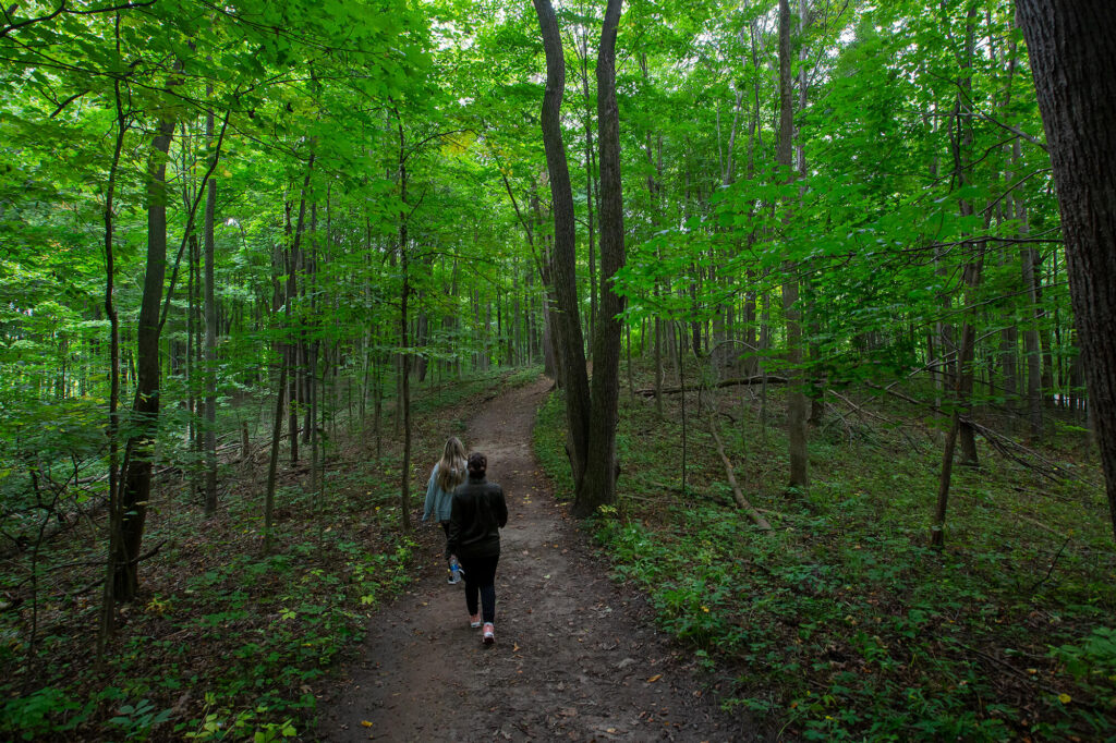 People walking on Maybury Trail