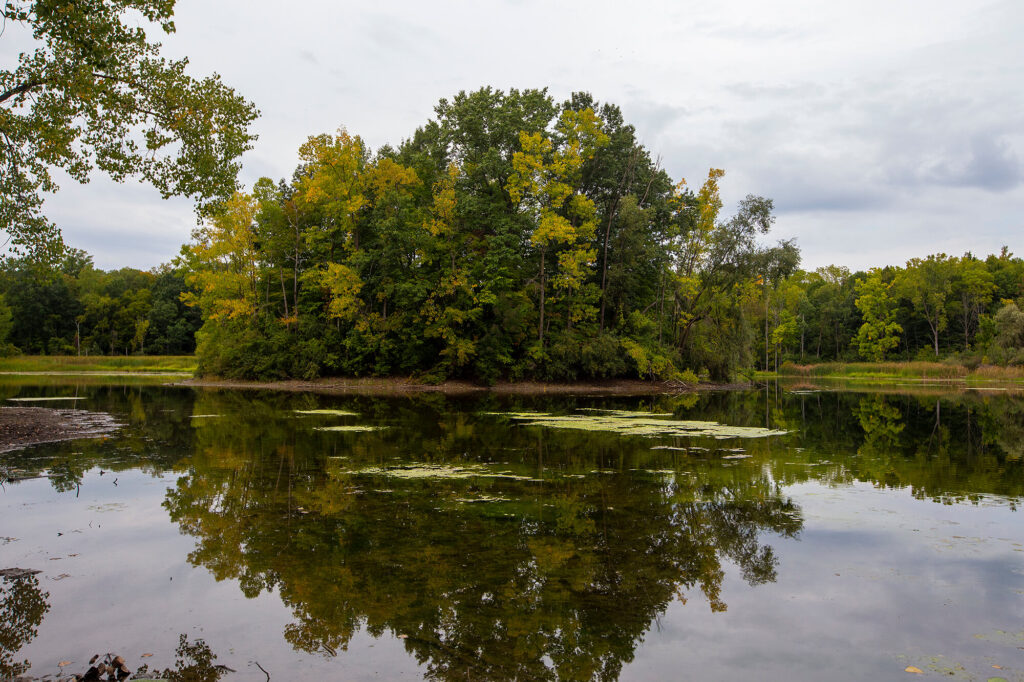 Pond at Maybury State Park