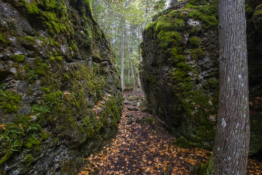 Mossy Large Boulders