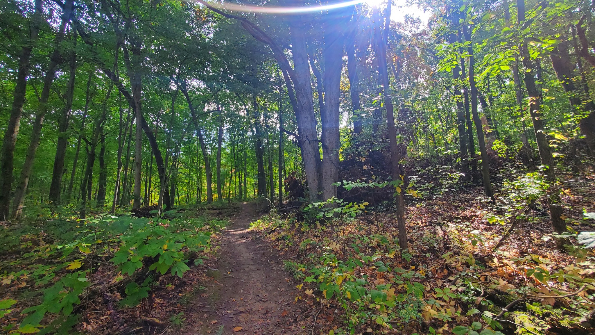 Exploring the Waterloo-Pinckney Trail