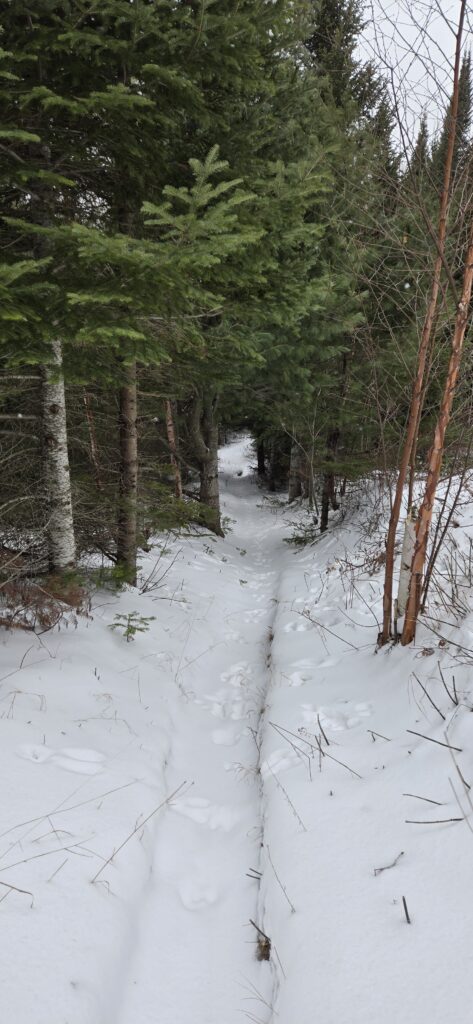 North Country Trail in Pictured Rocks National Lakeshore