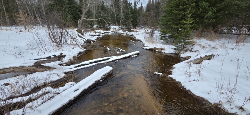 Creek crossing on the NCT