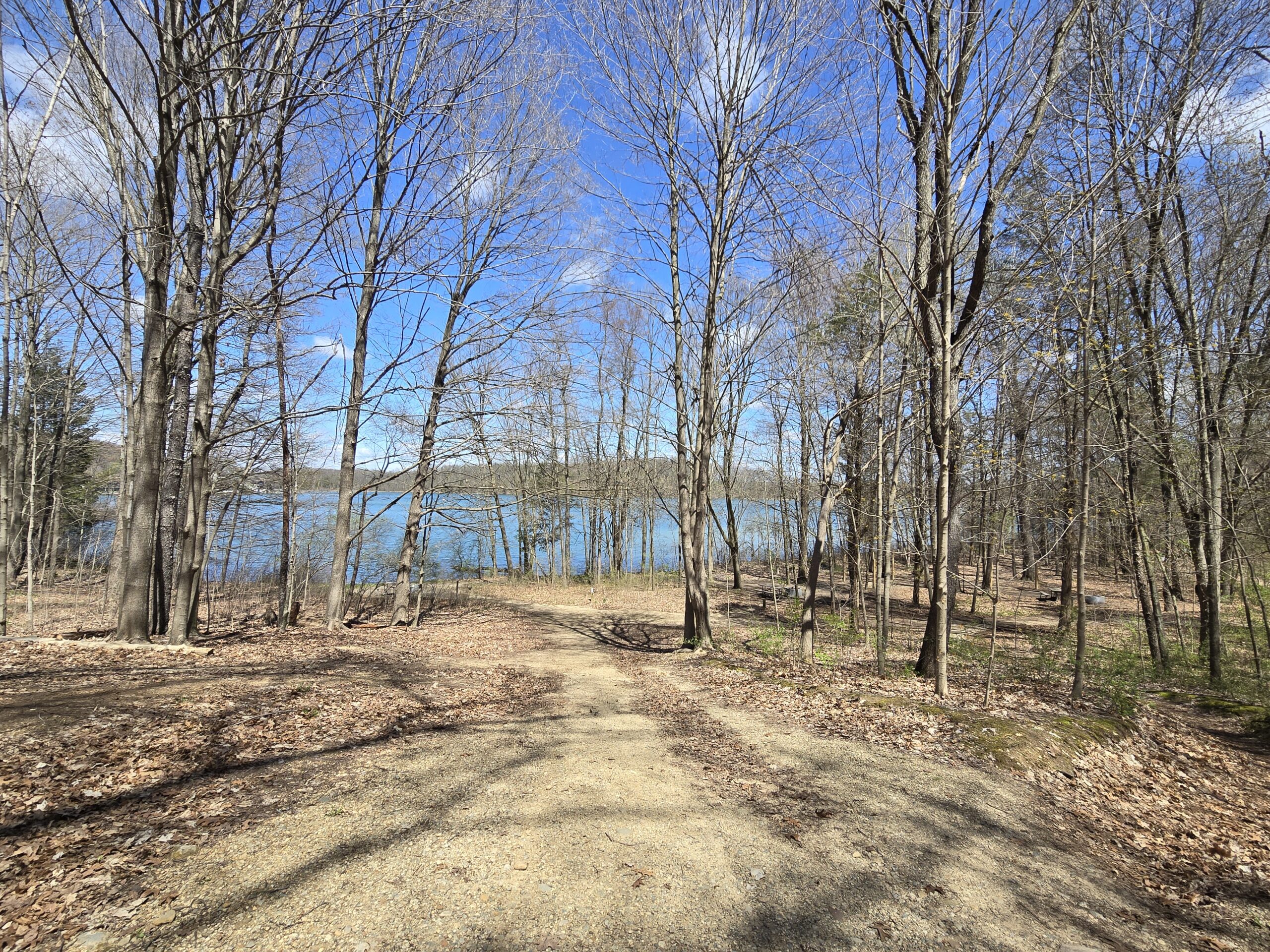 Running the 50K at Trail Weekend