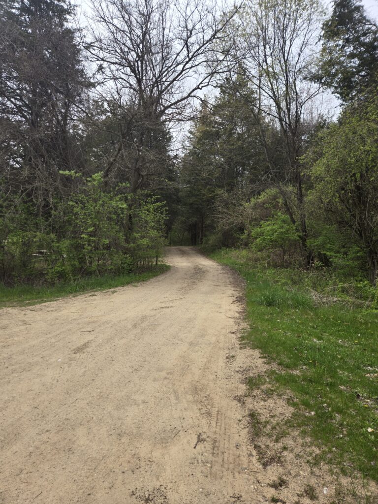 Crooked Lake Rustic Campground road
