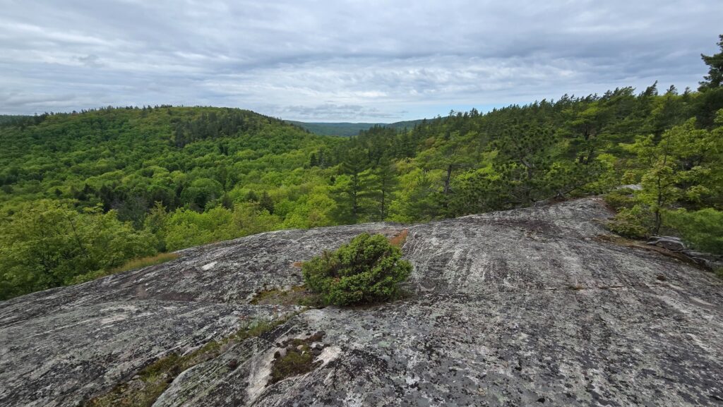 View from Bear Mountain on the Big Bay Pathway