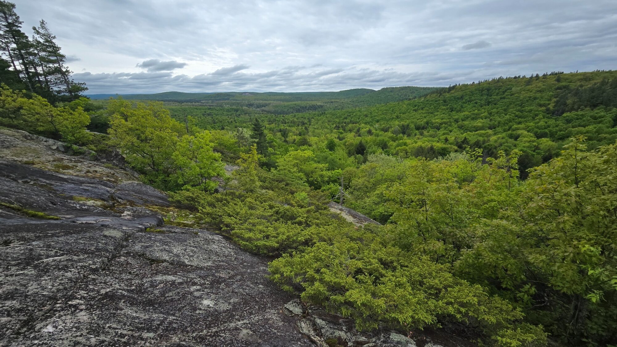 View from Bear Mountain