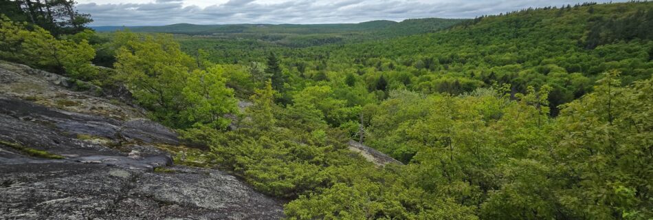 View from Bear Mountain