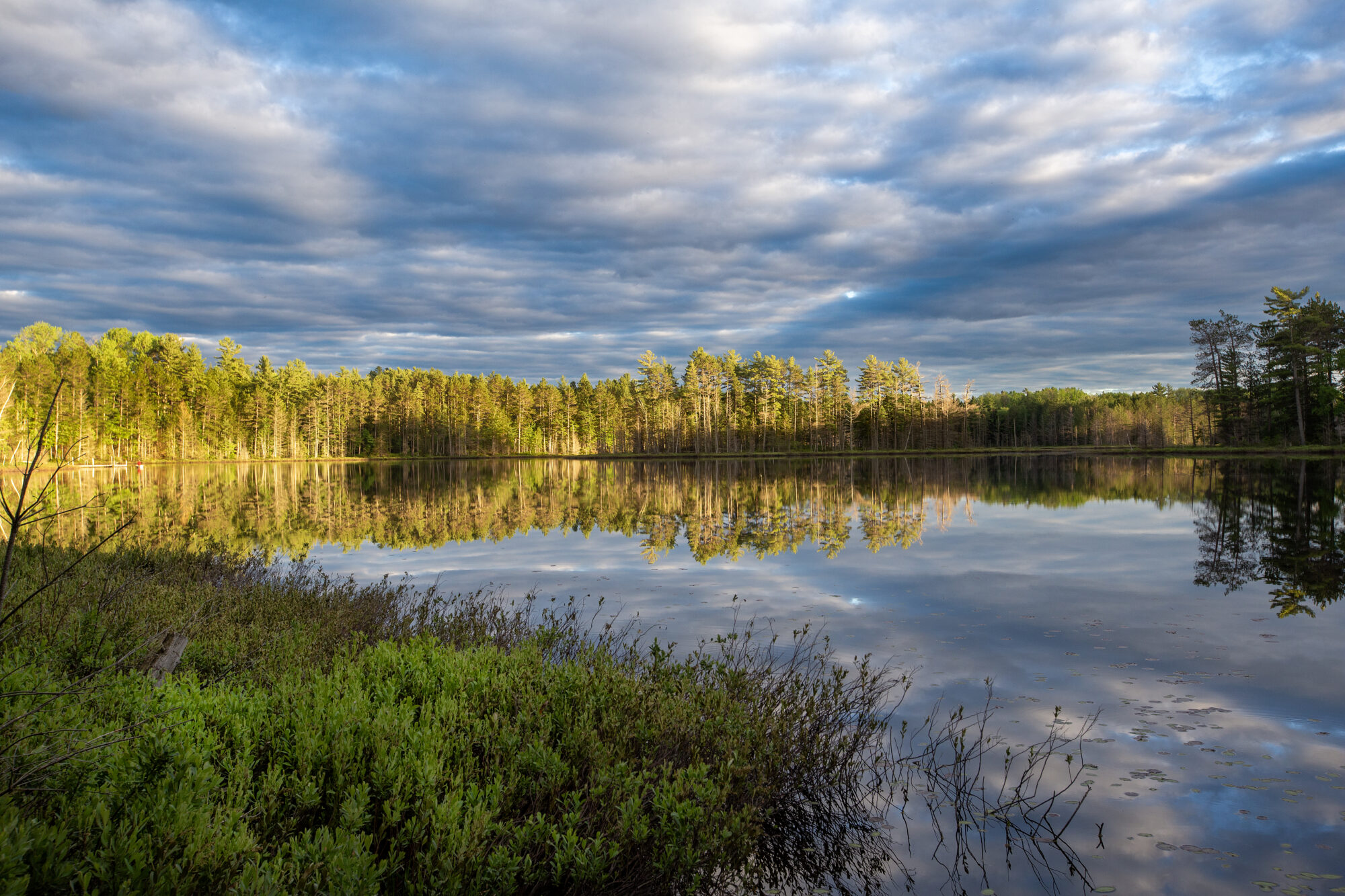 The scenic Island Lake