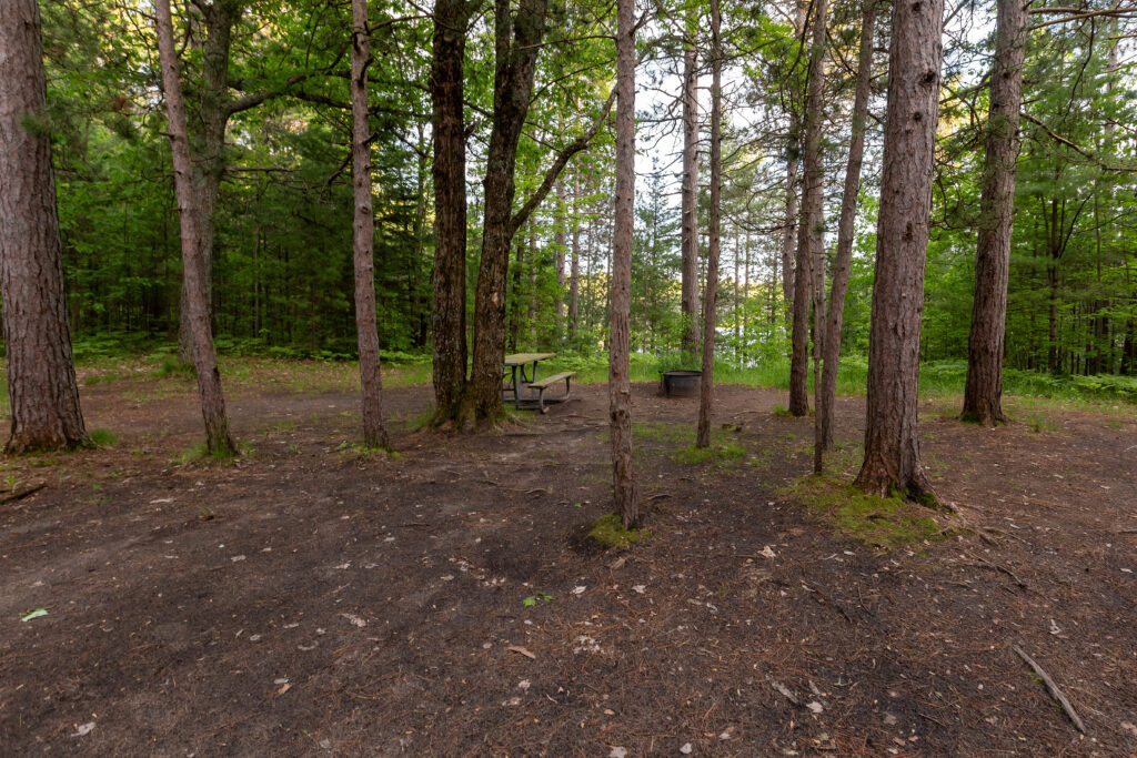 Camp site 6 at Island Lake Campground