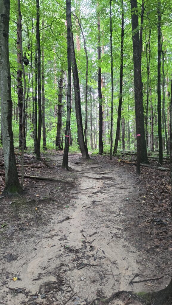 Trail for the Deer Fly 5 at Lake Lansing North