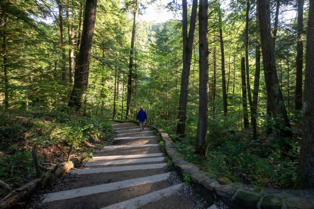 Descending stairs to Cedar Falls in Hocking Hill State Park