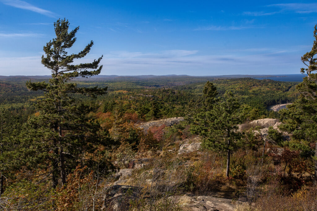 Miles of evergreen forest and early fall changing trees from the top of Sugarloaf Mountain