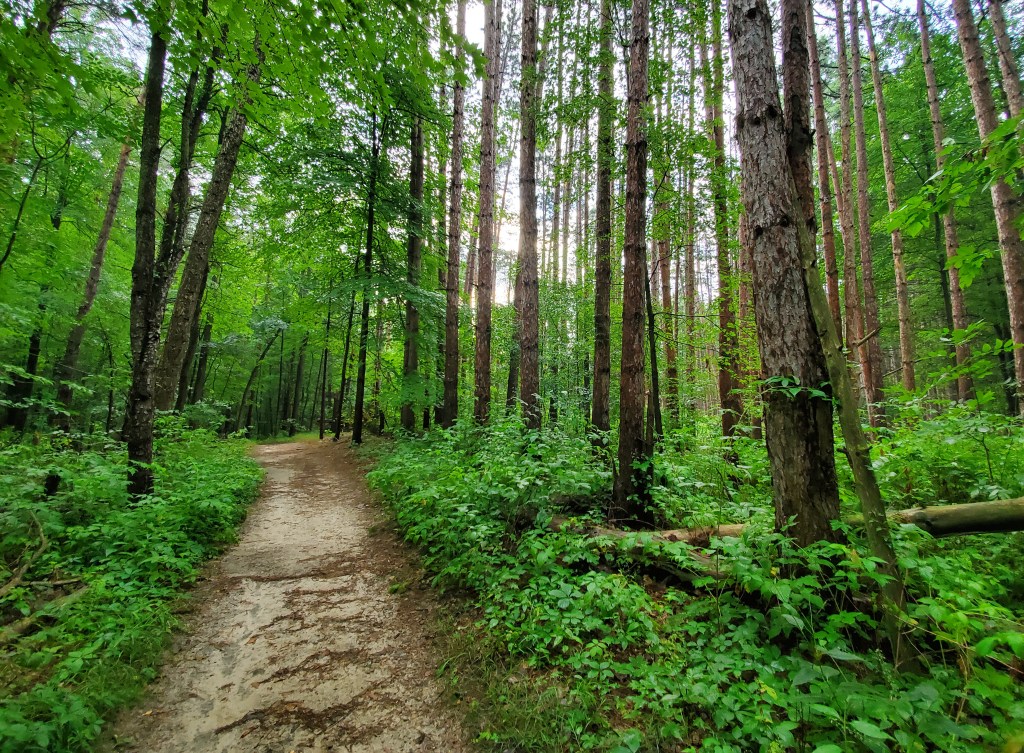 Let’s Talk Trail&nbsp;Etiquette
