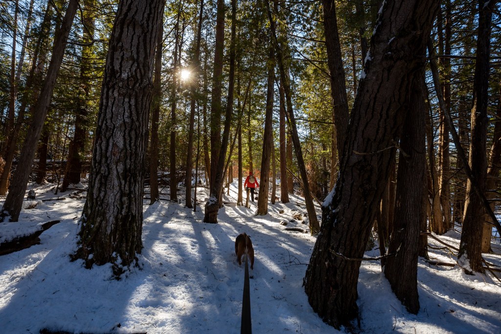 Finding Adventure in 2024