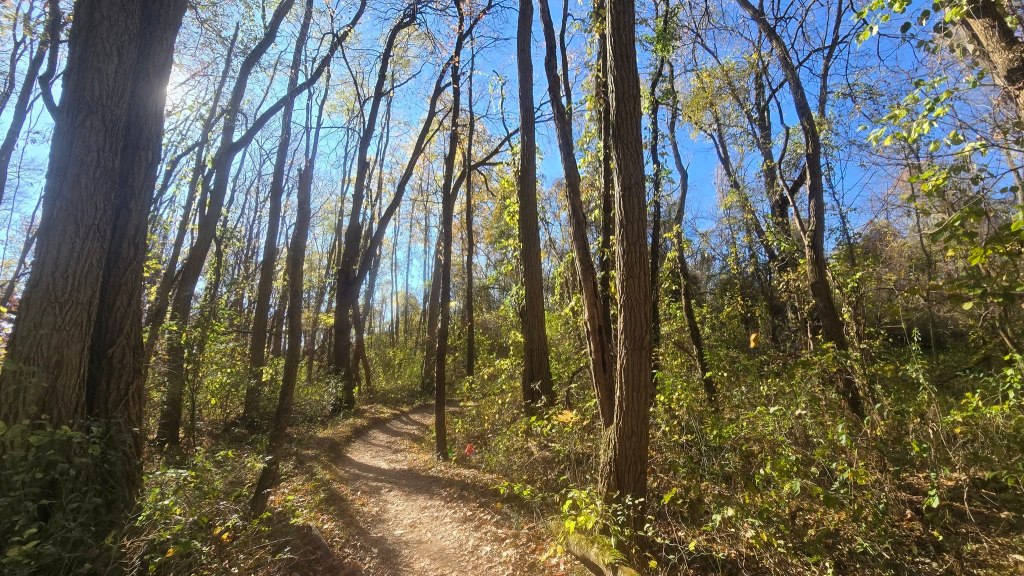 Bonfyre Trail Fest: A Race to&nbsp;Remember