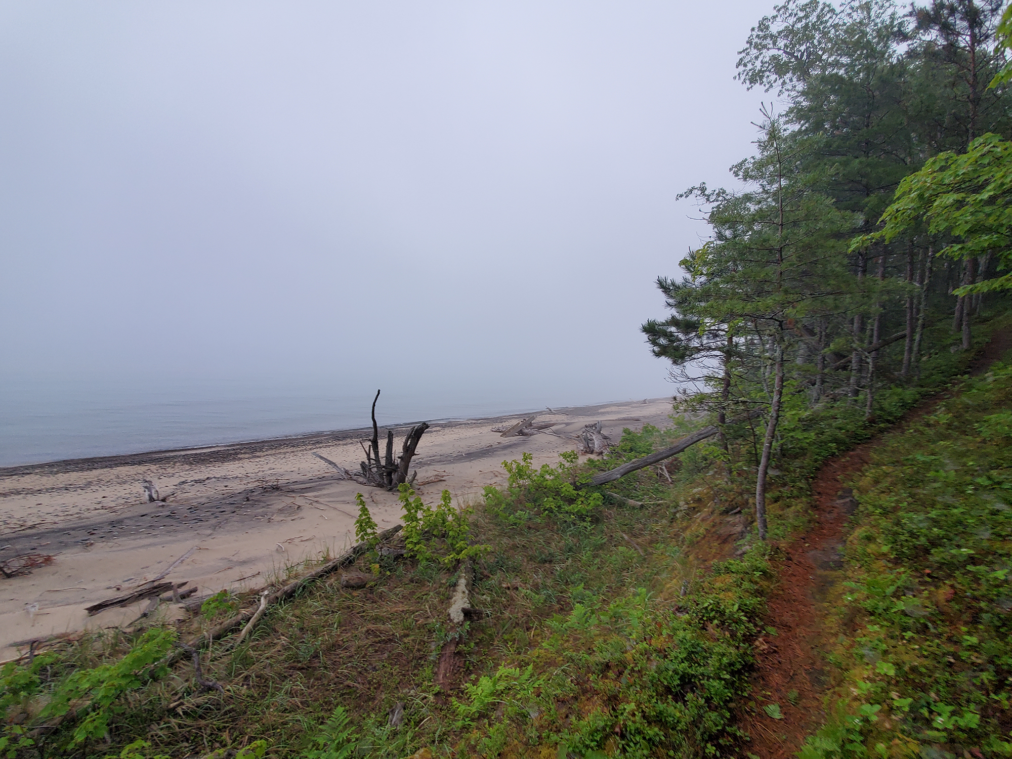 My First Ultra: The Two Hearted 50K Trail Run