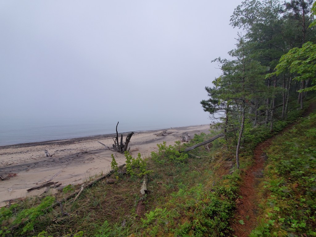 My First Ultra: The Two Hearted 50K Trail Run