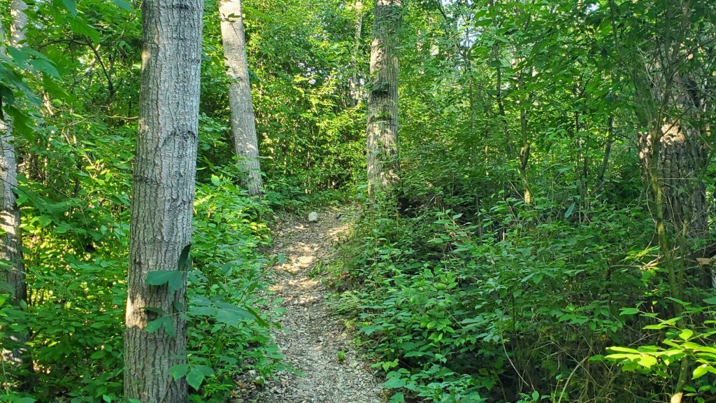 Running the Trails at Ionia State Recreation&nbsp;Area