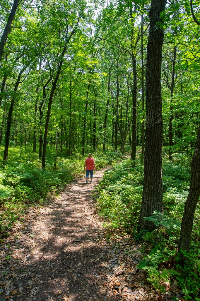 Person on Huron Nature Center trail