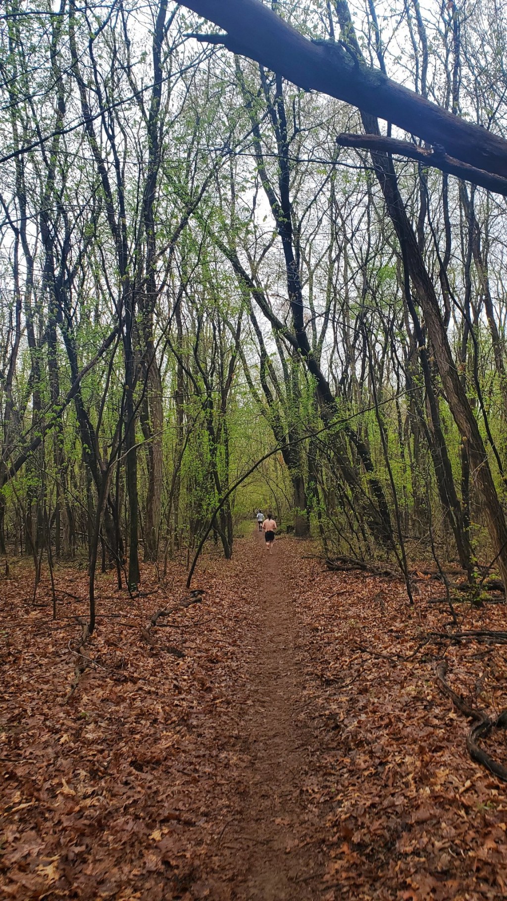 Running the Half Marathon at Trail&nbsp;Weekend