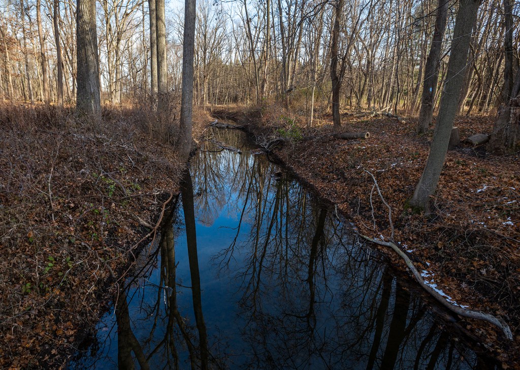Portage Creek