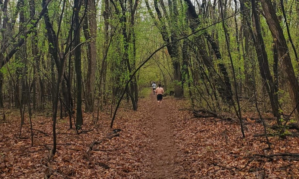 Trail Weekend trail