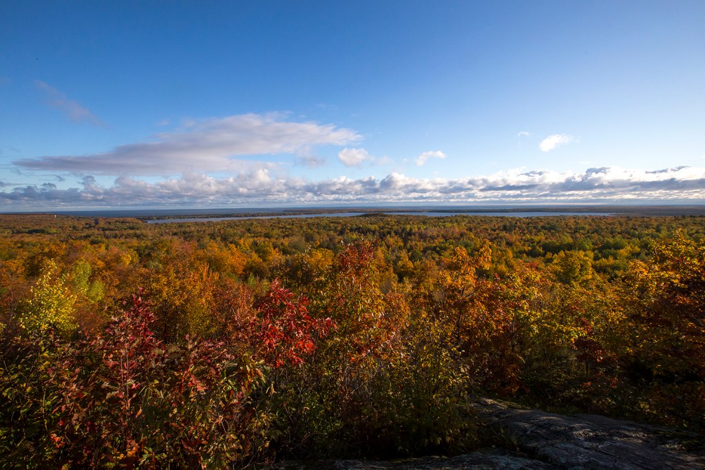 Thomas Rock Overlook in Fall
