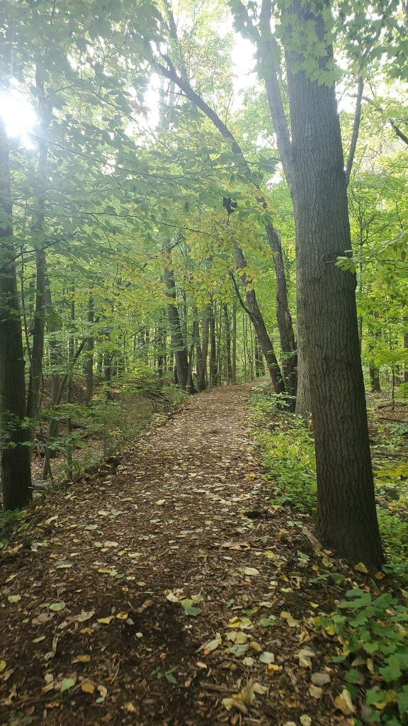 Trail at Fitzgerald Park