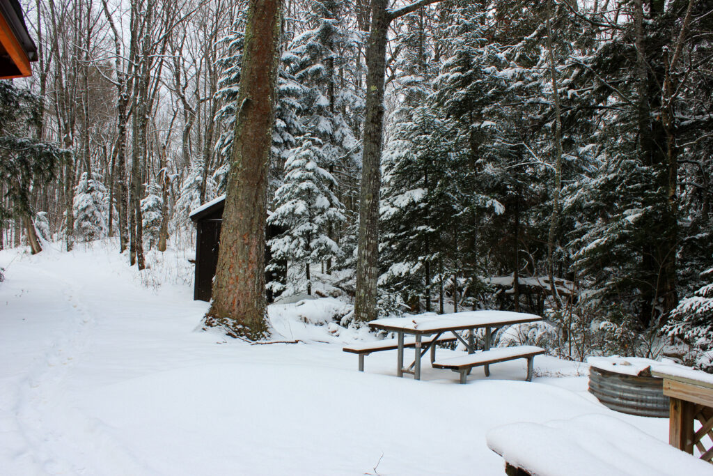 Outdoor picnic area at Teddy Lake Yurt