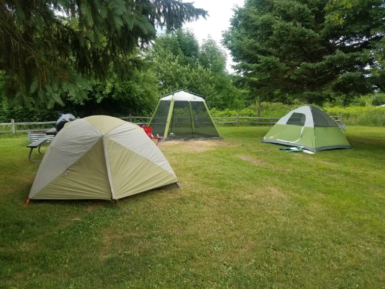 Three tents at Union Bay Campground