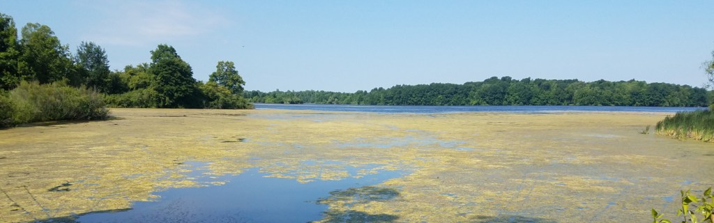 The Challenges of Running at Sleepy Hollow State&nbsp;Park