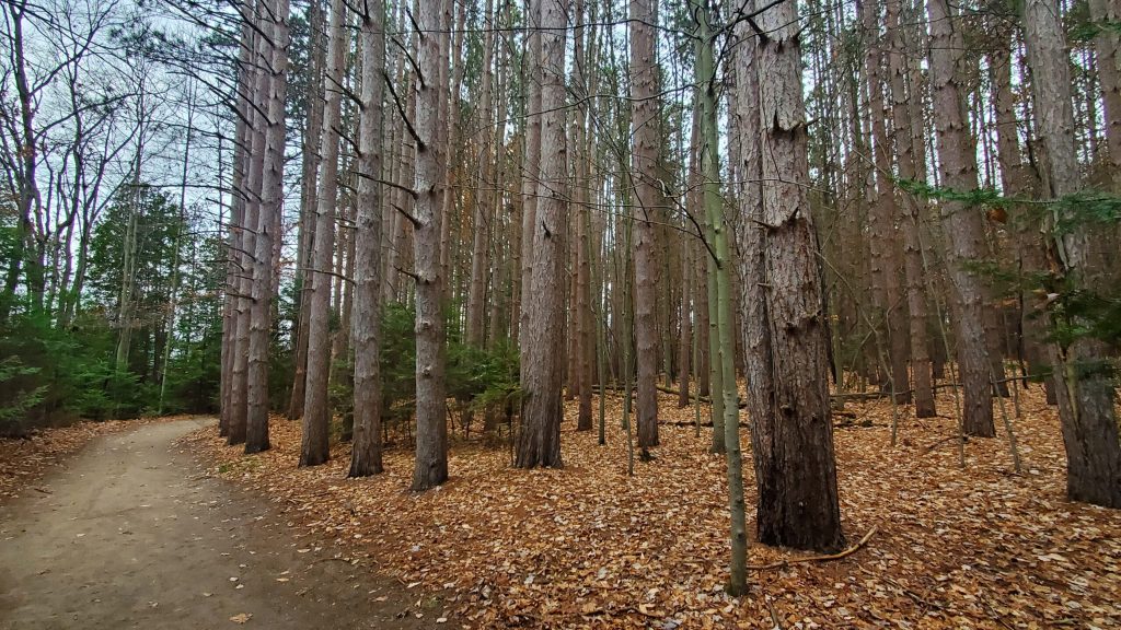 The Running Adventure I Didn’t Want at Proud Lake Recreation Area