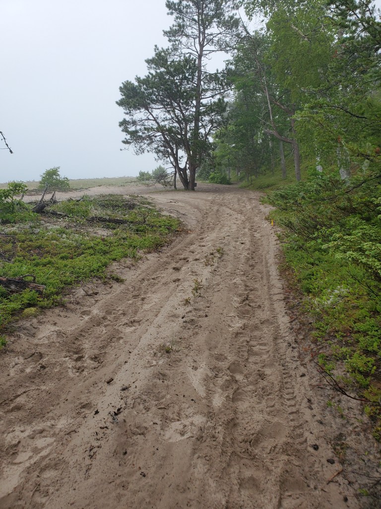 Thick sandy trail