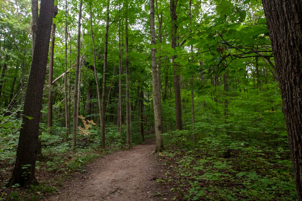 Take a Hike at Maybury State&nbsp;Park