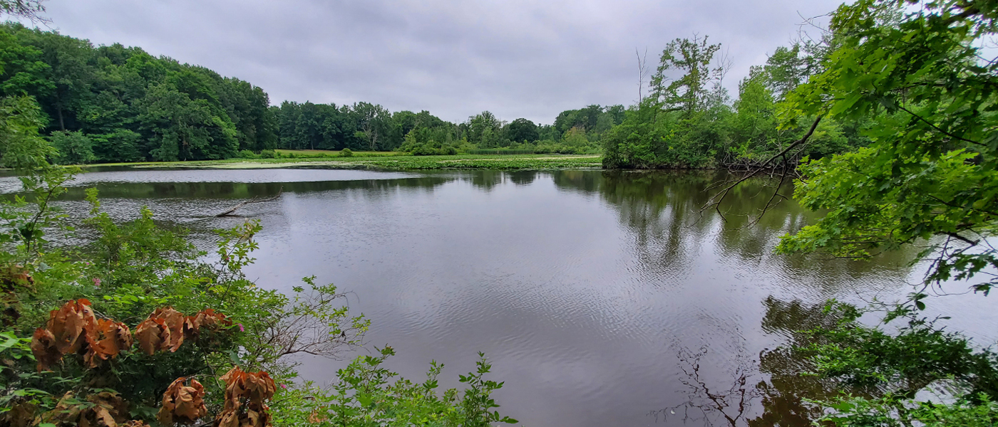 A Fun Run at Anderson Park