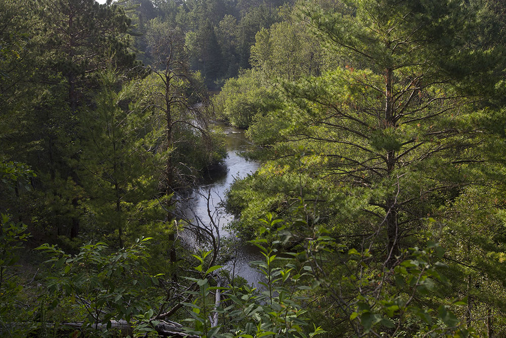The Pigeon River