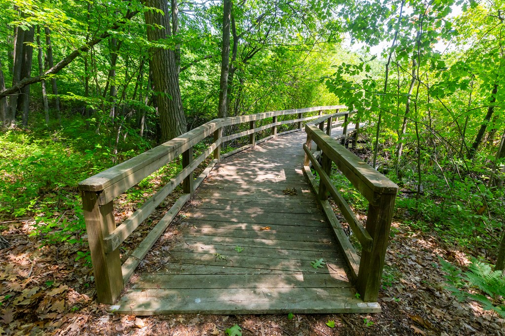 Boardwalk