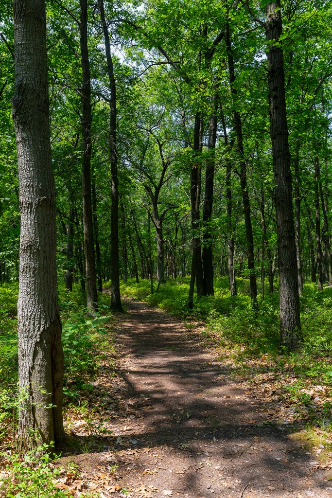 Huron Nature Center trail