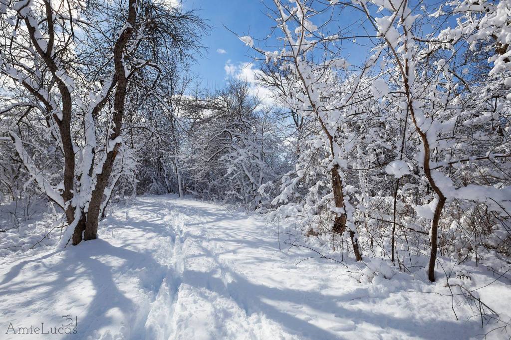 The 3 Layers of&nbsp;Winter