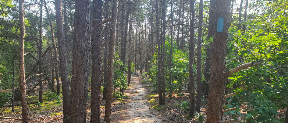 Exploring the North Country Trail, Fallasburg to&nbsp;Lowell
