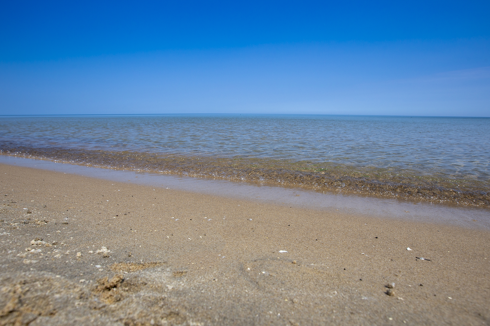 Sandy Hikes & Lake Huron Views at Port Crescent State Park