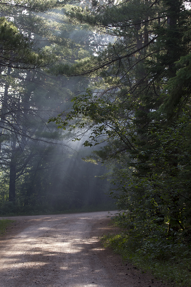 Road in campground