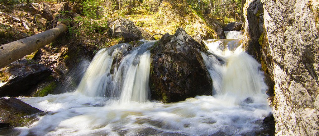 A Quick Stop at Reany Falls