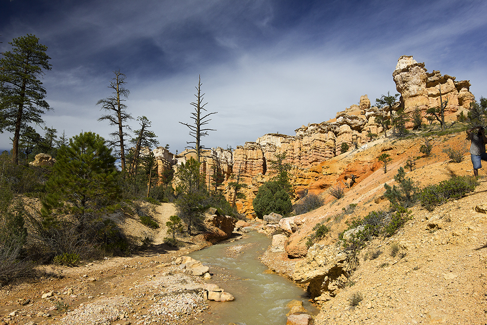 A Hike to Mossy&nbsp;Cave