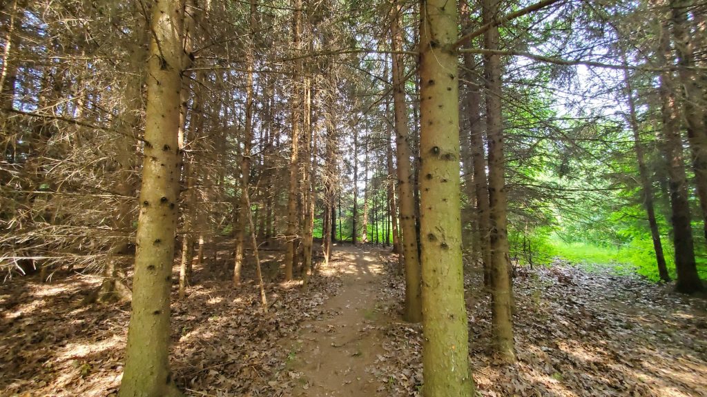 Exploring the Trails at Ingham Conservation District