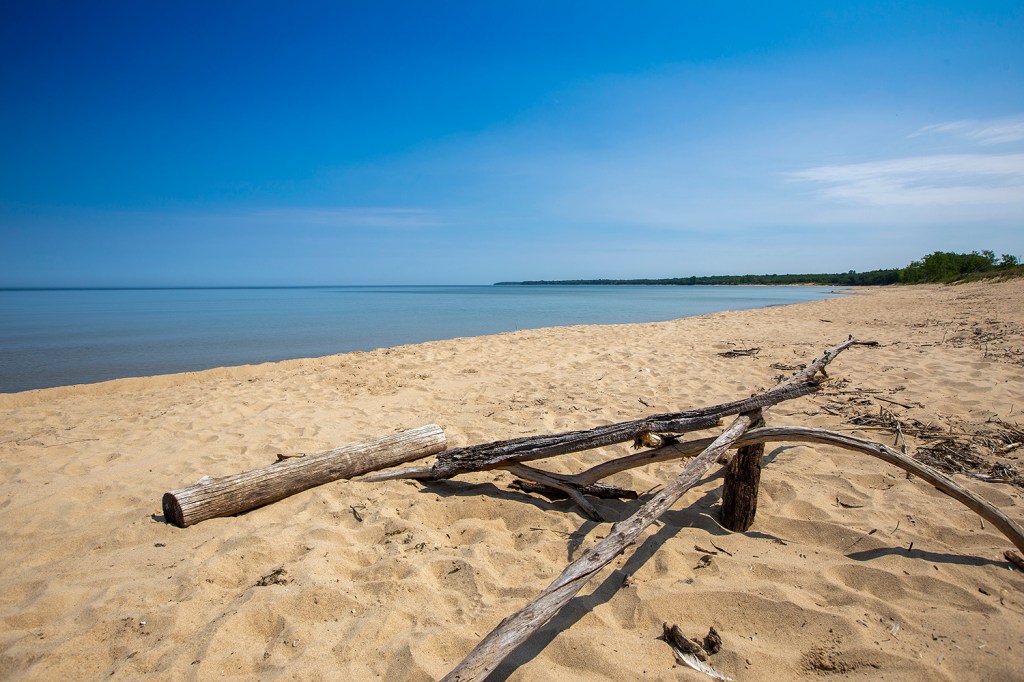 Logs on a beach with Lake Huron